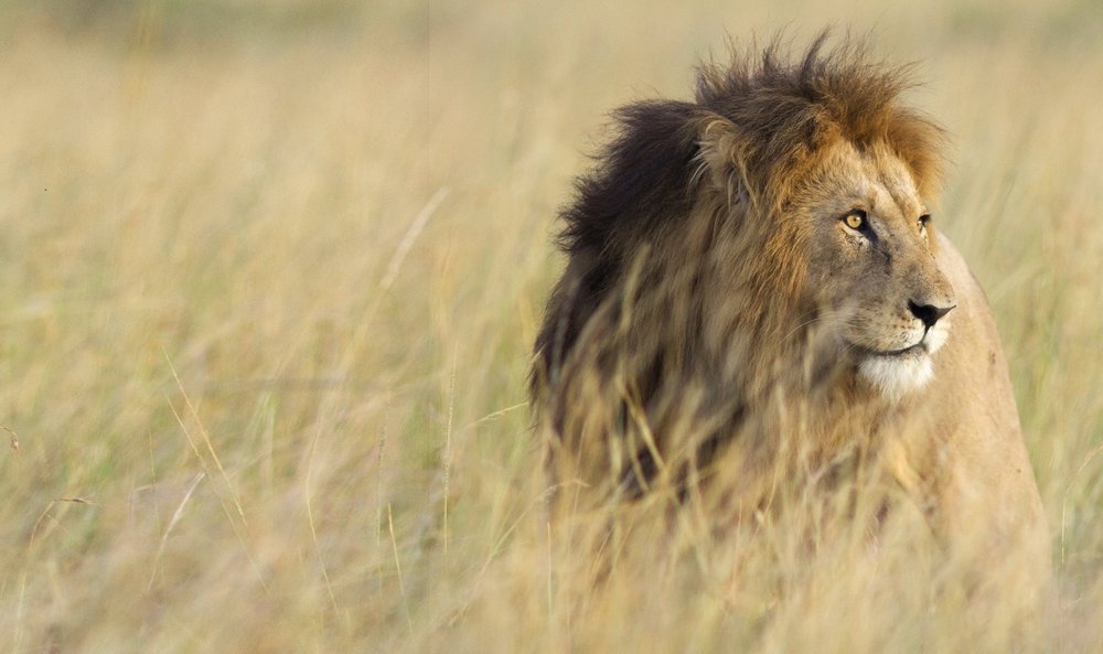 WELCOME MAIN PAGE visual data 3